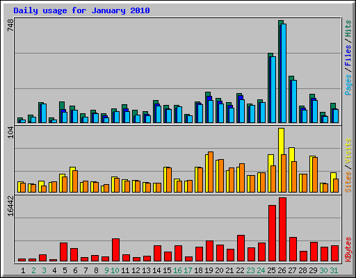 Daily usage for January 2010