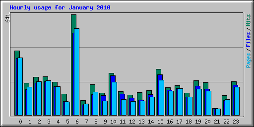 Hourly usage for January 2010